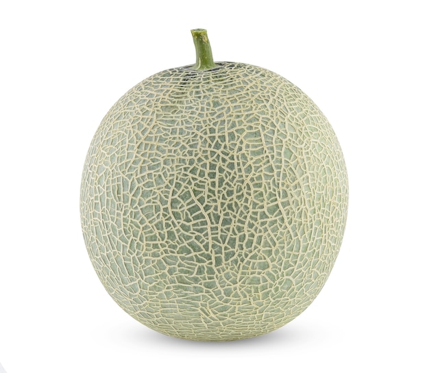 Cantaloupe-Melone, isoliert auf Weiß