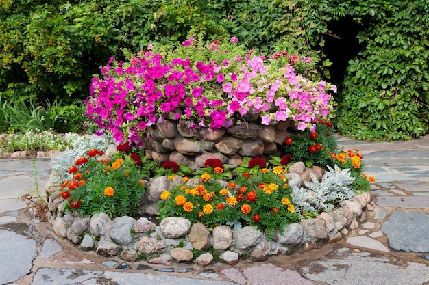 Canteiro de flores com design de paisagem petúnia e calêndula