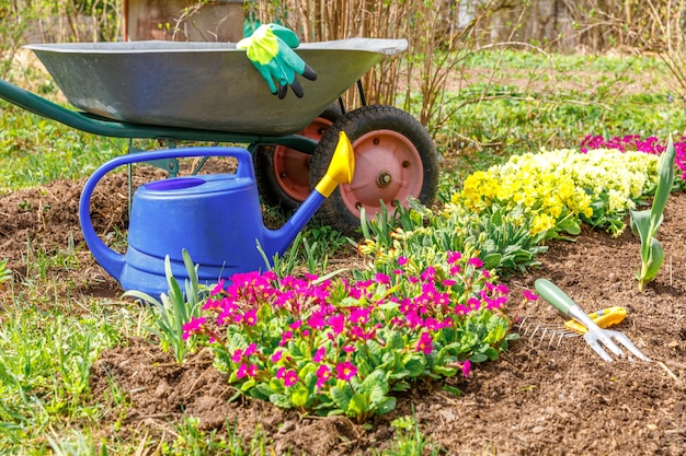 canteiro de flores e jardineiro equipamento carrinho de mão carrinho de jardim regador regador no jardim no dia de verão