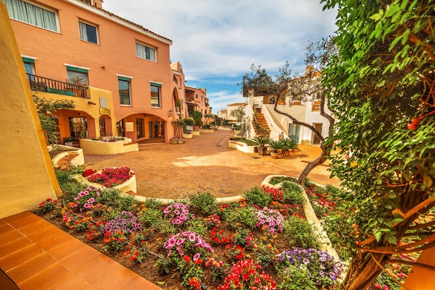 Canteiro de flores em porto cervo