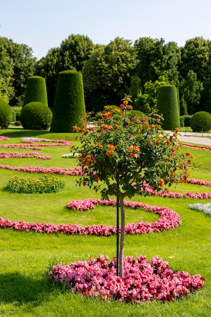 Canteiro de flores no beco do Parque do Palácio de Schoenbrunn