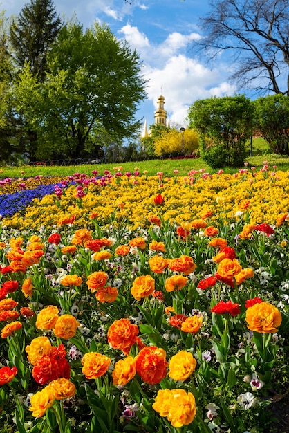 Canteiro de flores no parkxaxa