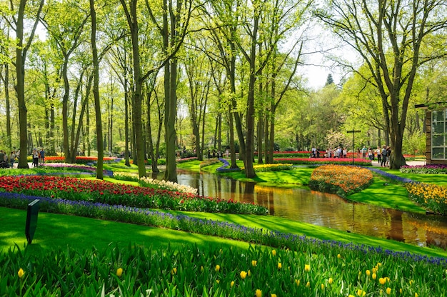 Canteiros de flores dos jardins de keukenhof em lisse, holanda