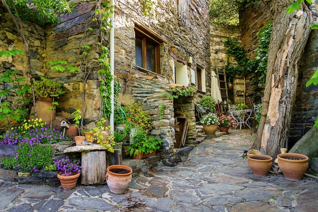 Canto entre casas antigas com vasos de flores, flores e diversos itens do campo. Patones de Arriba Madrid