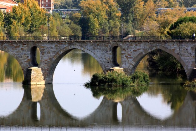 cantos e arquitetura de zamora espanha