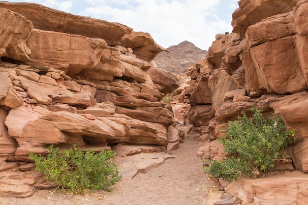 Canyon colorido com pedras vermelhas