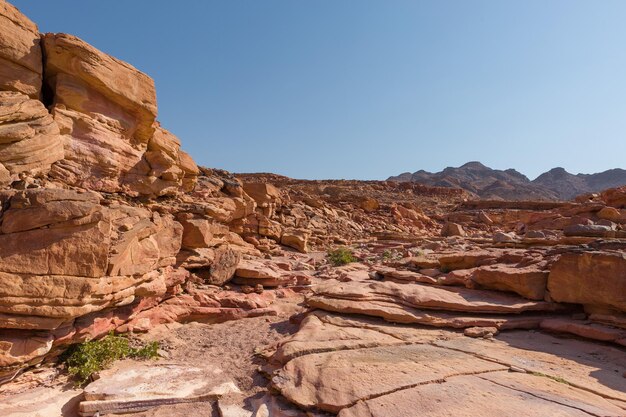 Canyon colorido é uma formação rochosa nas rochas do deserto da península do Egito do Sinai do Sul de fundo de arenito multicolorido