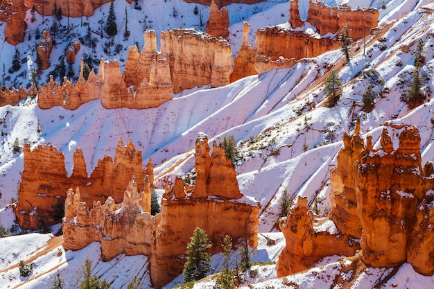 Canyon de Bryce com neve no inverno.