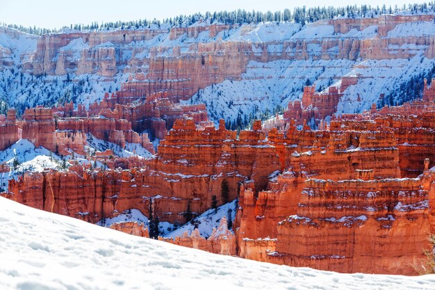 Canyon de bryce com neve no inverno.