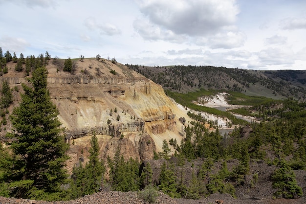 Canyon de rocha vermelha e rio sinuoso na paisagem americana parque nacional de yellowstone