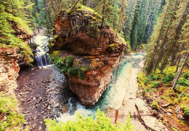 Canyon em Banff NP