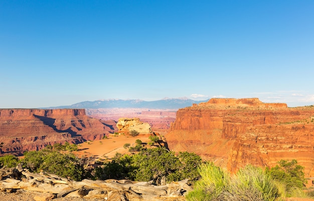 Canyon no parque estadual dead horse, utah, eua