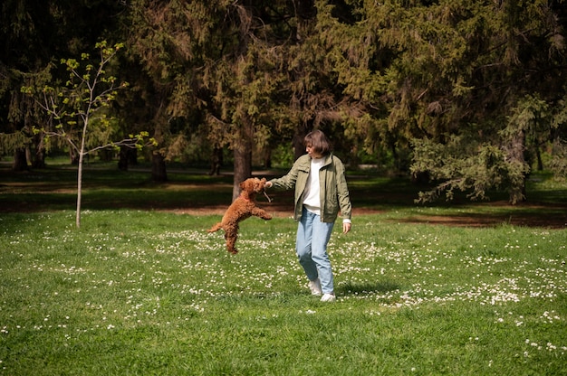 Foto cão adorável no parque na natureza com o proprietário