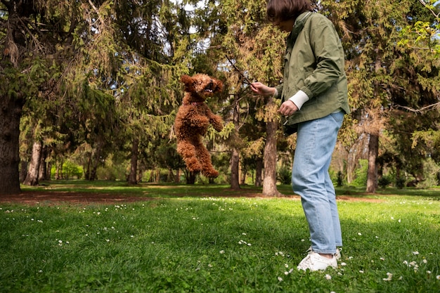 Foto cão adorável no parque na natureza com o proprietário