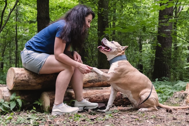 Cão american staffordshire terrier dá uma pata a uma mulher