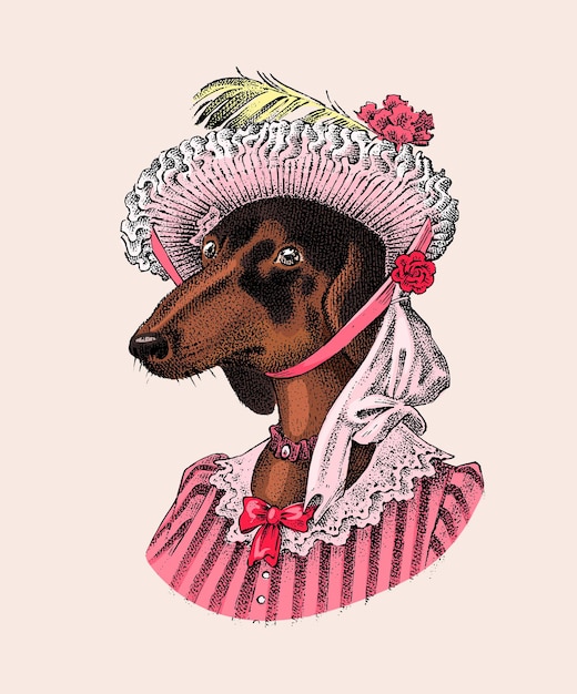 Cão bassê em terno caça raça senhora ou senhora em personagem animal da moda vestido vitoriano em