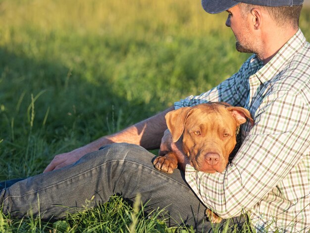 Cão bonito e homem atraente sentado em um prado em um dia claro e ensolarado Closeup ao ar livre Luz do dia Conceito de treinamento de cuidados e criação de animais de estimação