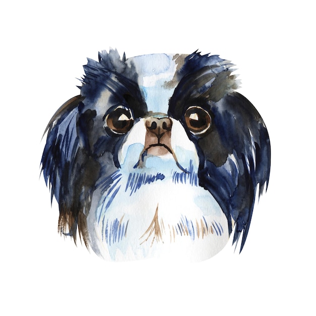 Cão bonito queixo japonês Ilustração em aquarela isolada