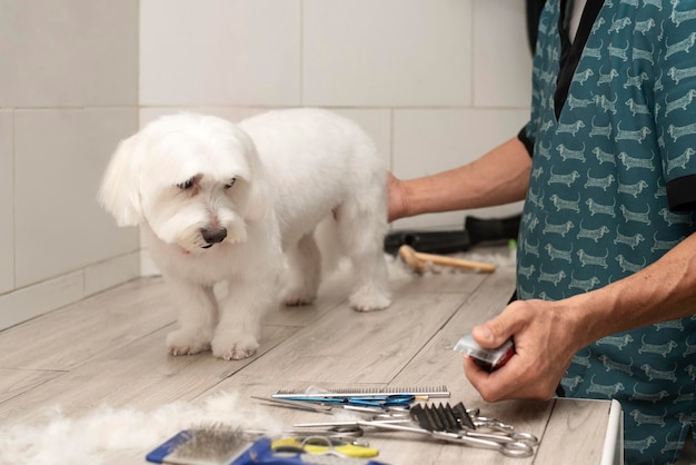 Cão branco em uma mesa de tosa