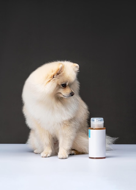 Cão da Pomerânia Produto de higiene para cães