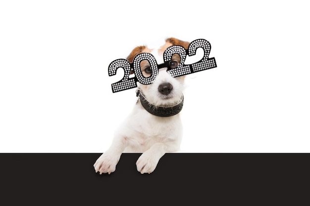 Foto cão de ano novo com patas sobre a borda preta. usando óculos com a inscrição 2022 em fundo branco