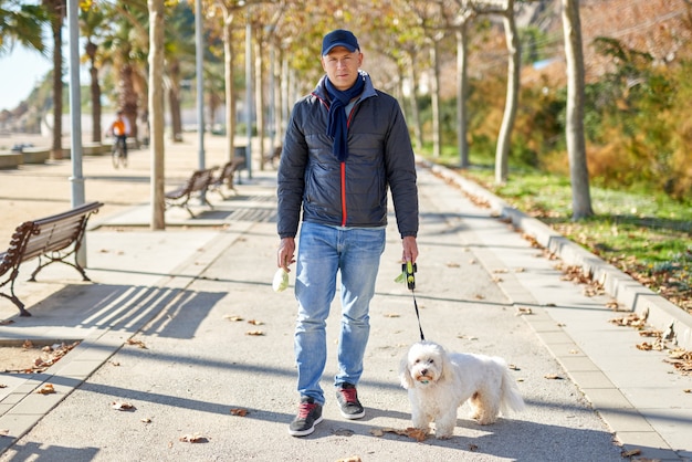 Cão de pequeno porte, macho, adulto, branco, passeio, parque