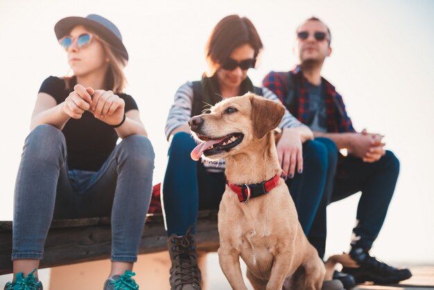 Cão e família sentado ao ar livre em um deck de madeira