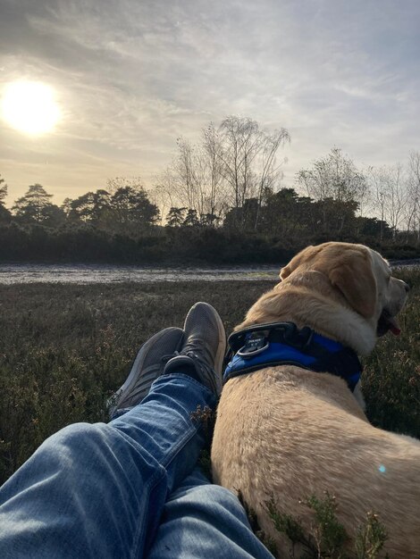 Cão e pernas a ver o pôr-do-sol