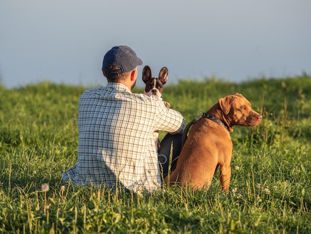 Cão encantador, cachorrinho fofo e homem atraente