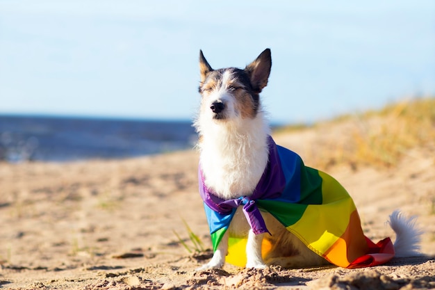 Cão engraçado bonito com bandeira lgbt gay de arco-íris colorido. conceito de férias do orgulho. estilo de vida ao ar livre