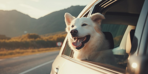 Cão feliz desfrutando da vista da janela do carro