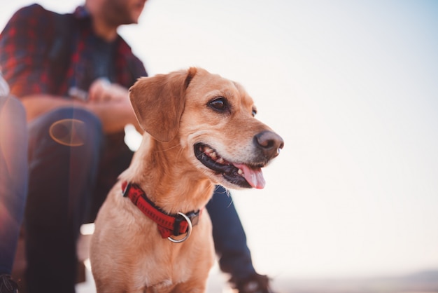 Cão feliz e seu dono em segundo plano