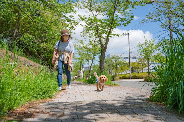 Cão feliz em uma caminhada