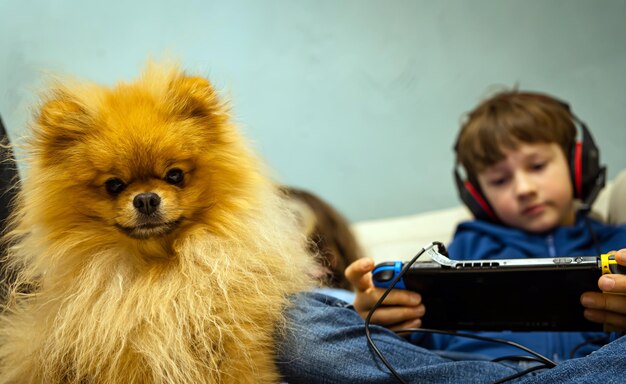 Cão fofinho da Pomerânia no sofá com crianças brincando de aparelhos