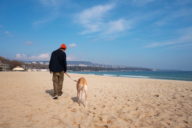 Cão galgo com dono na praia