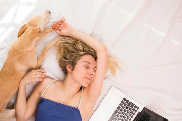 Cão galgo na cama branca