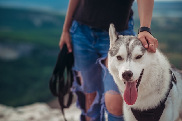 Cão husky cinzento e branco nas montanhas ao pôr do sol