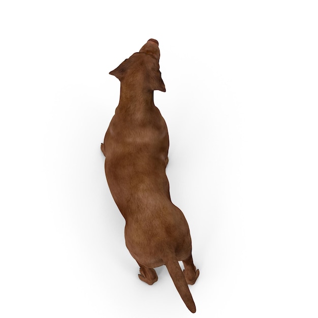 Foto cão labrador modelagem 3d arquivo jpeg cão de estimação realista