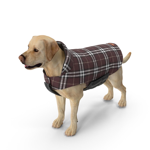 Foto cão labrador modelagem 3d arquivo jpeg cão de estimação realista