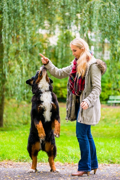 Cão no parque sentar e implorar por mulher