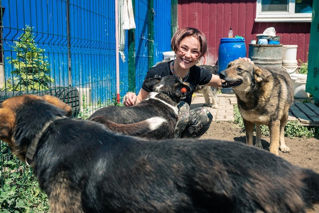 Cão no refúgio O voluntário do refúgio de animais cuida dos cães