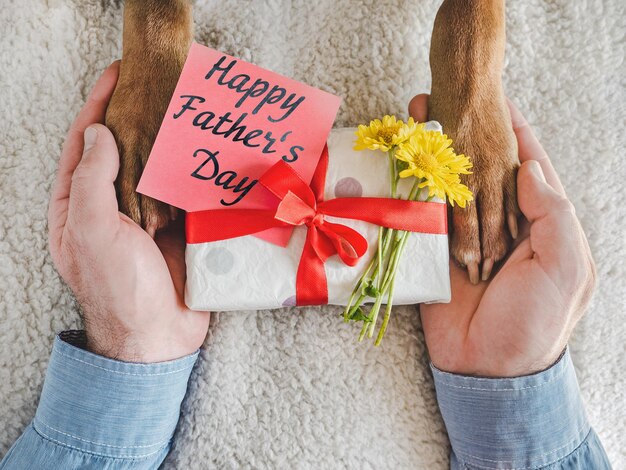 Cão patas mãos masculinas e caixa de presente