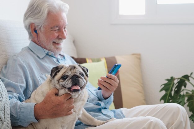 Cão pug velho retrato sentado no sofá em casa com seu dono sênior usando telefone celular, terapia de animais de estimação