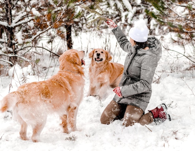 Cão retriever dourado com garota no inverno