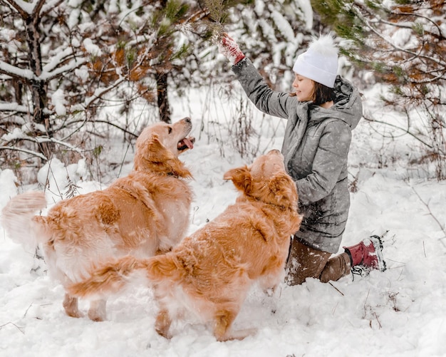 Cão retriever dourado com garota no inverno