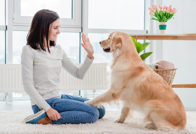 Cão retriever dourado dando pata a uma menina sentada no chão em uma sala de luz