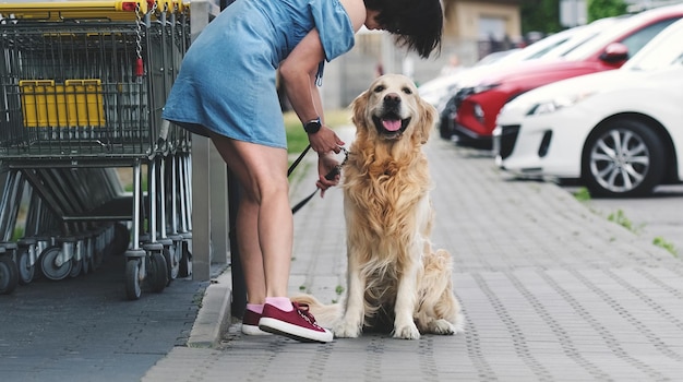 Cão retriever dourado esperando o dono na rua perto do supermercado menina tirando a coleira de raça pura