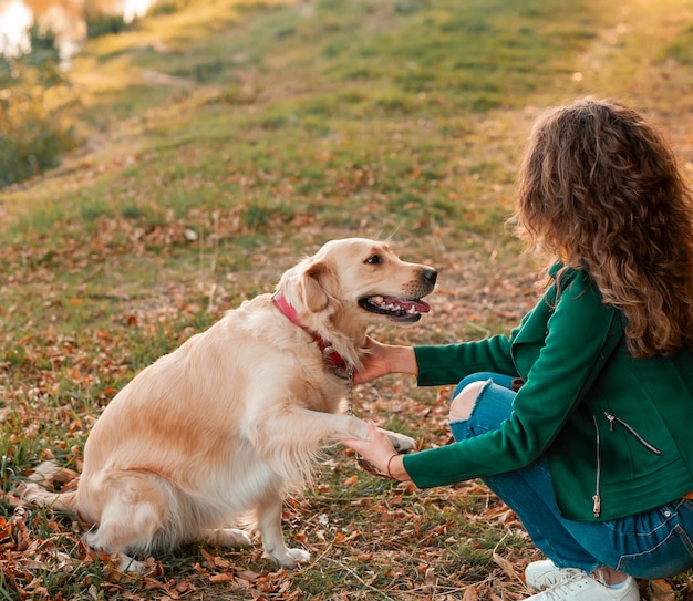 Cão Retriever recebe uma recompensa por obediência