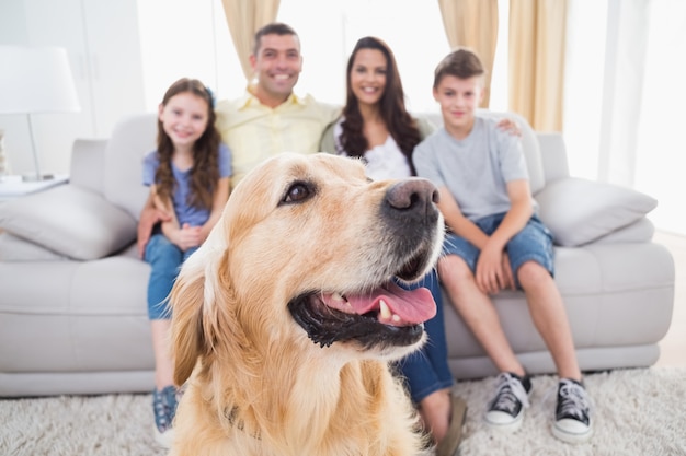 Cão sentado com a família em casa