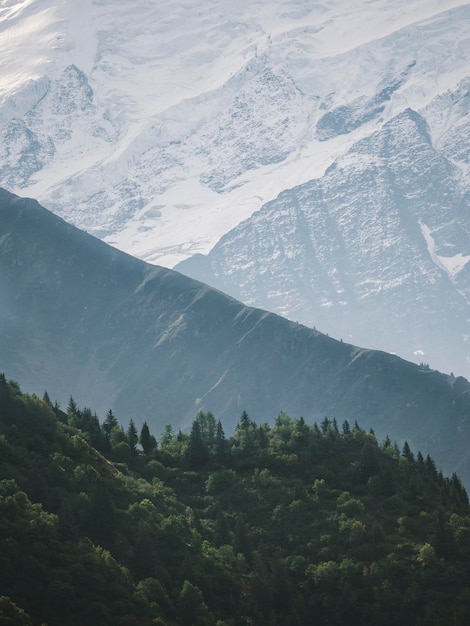 Capas de árboles montañas y nieve en la Francia pasante